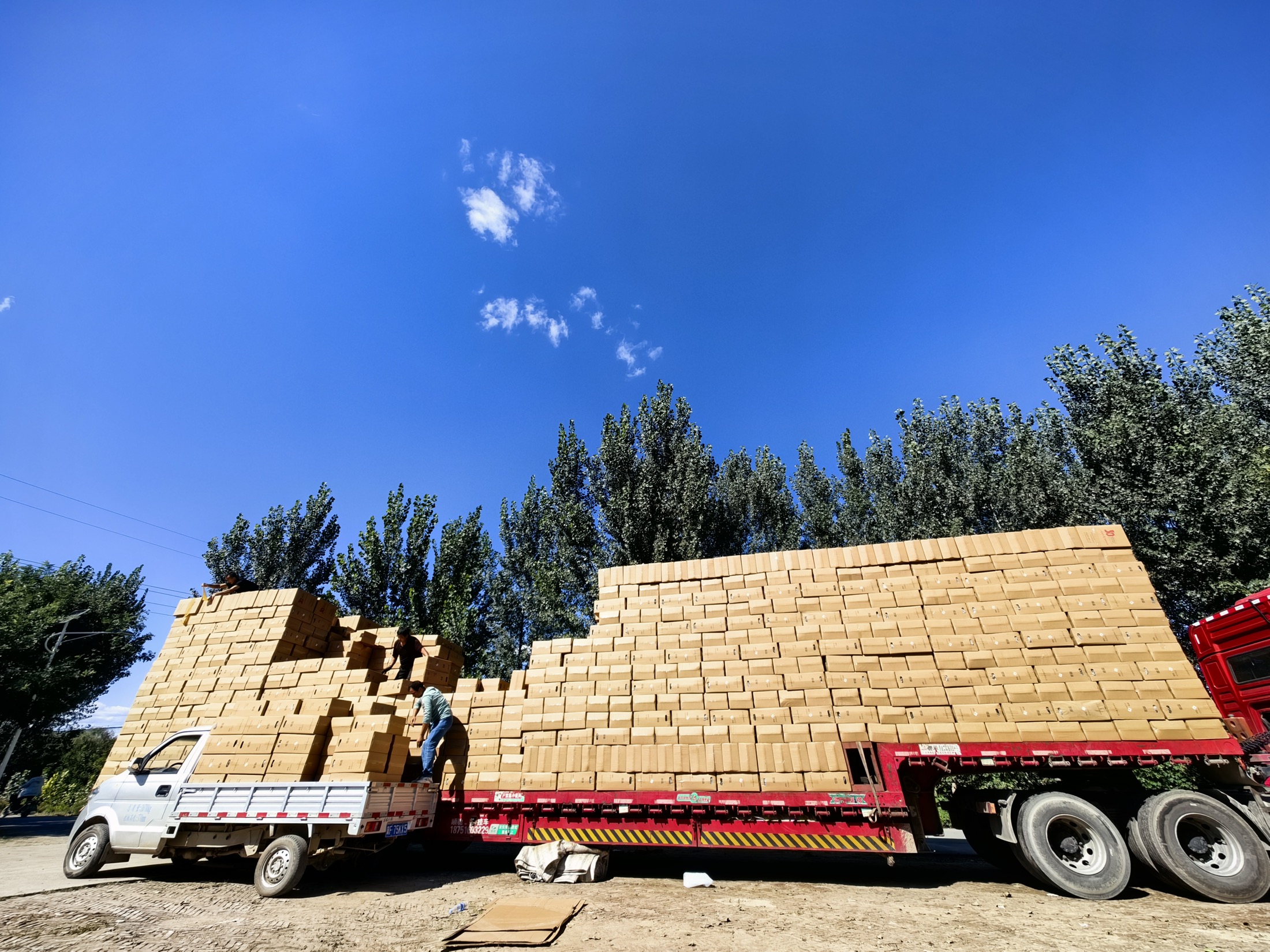 Bulk luggage carton loading